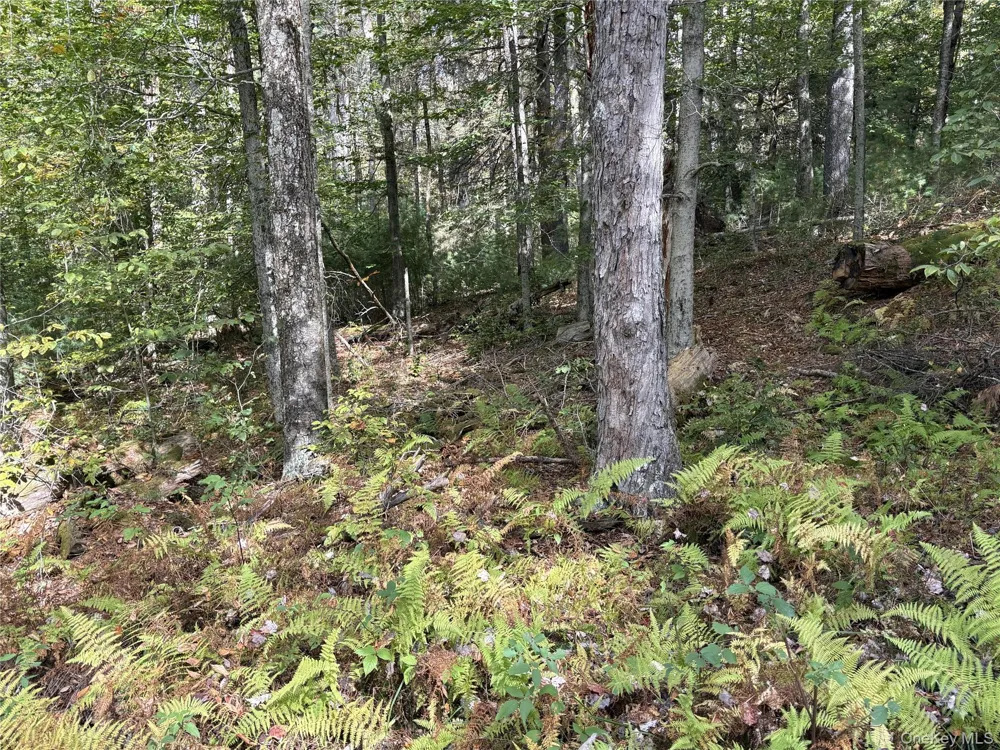 17 Lot 17 Desmond Crossing Bethel, NY 12720