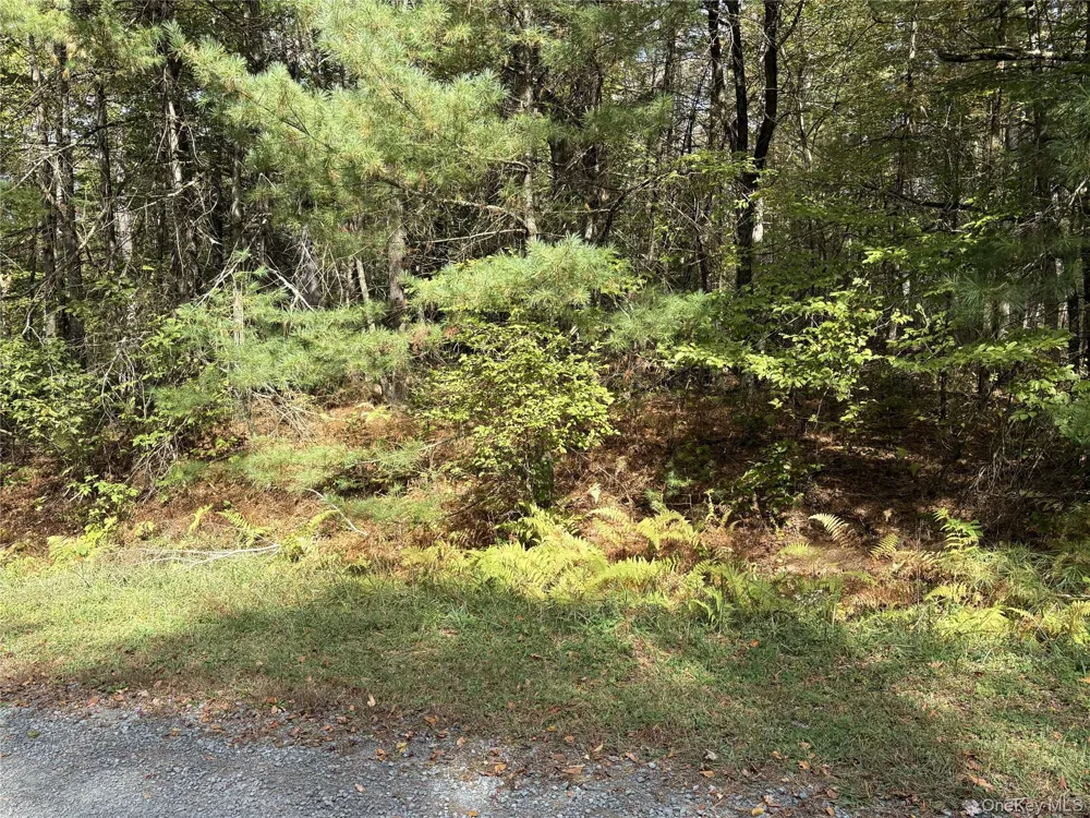 17 Lot 17 Desmond Crossing Bethel, NY 12720