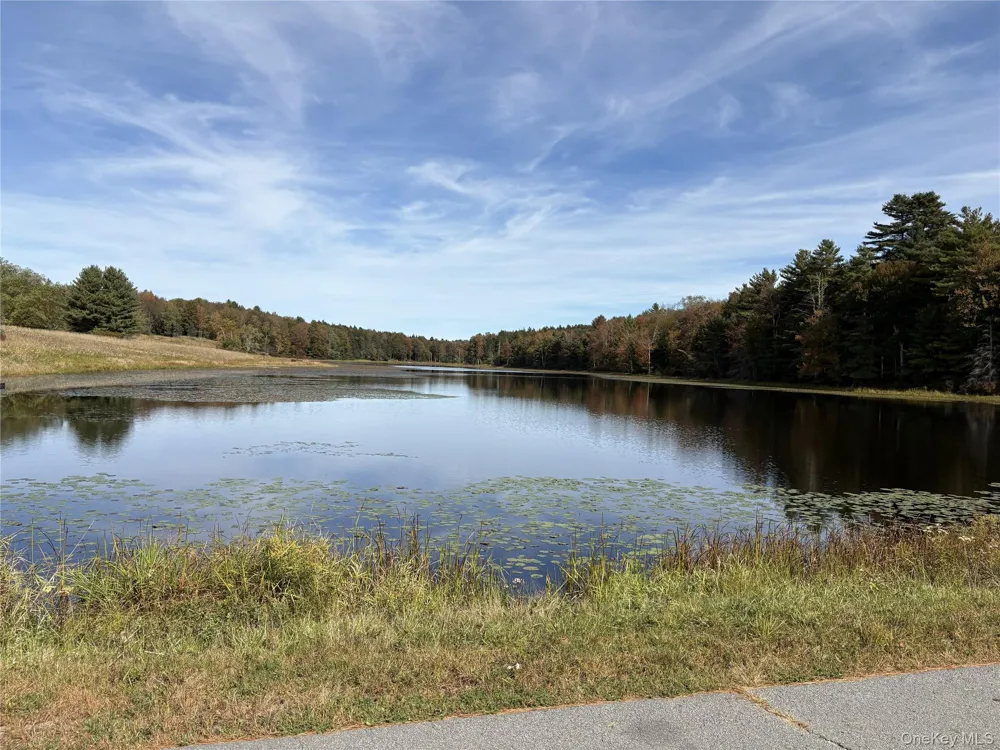 17 Lot 17 Desmond Crossing Bethel, NY 12720