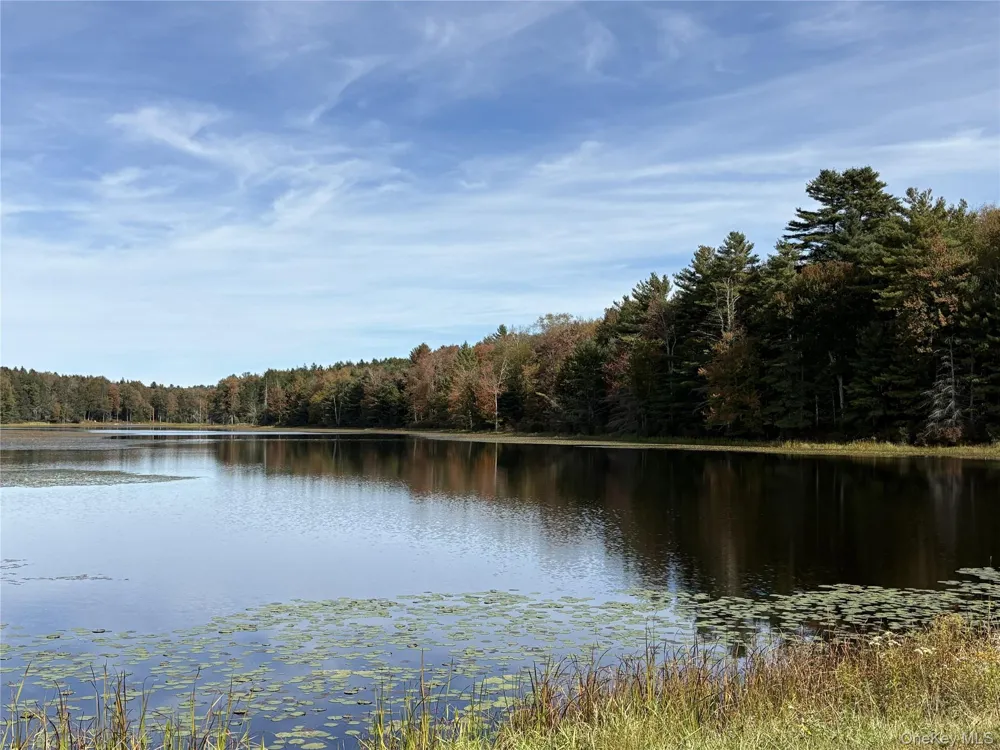 17 Lot 17 Desmond Crossing Bethel, NY 12720