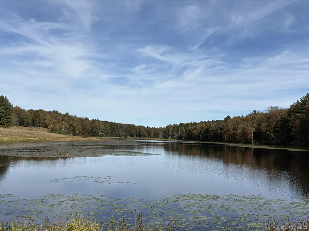 17 Lot 17 Desmond Crossing Bethel, NY 12720