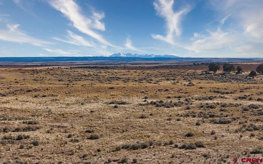 6462 Road L Dove Creek, CO 81324
