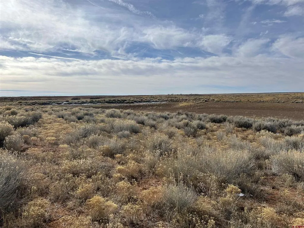 6462 Road L Dove Creek, CO 81324