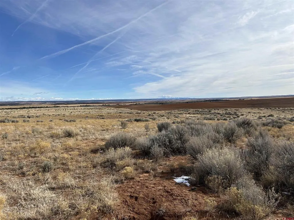 6462 Road L Dove Creek, CO 81324