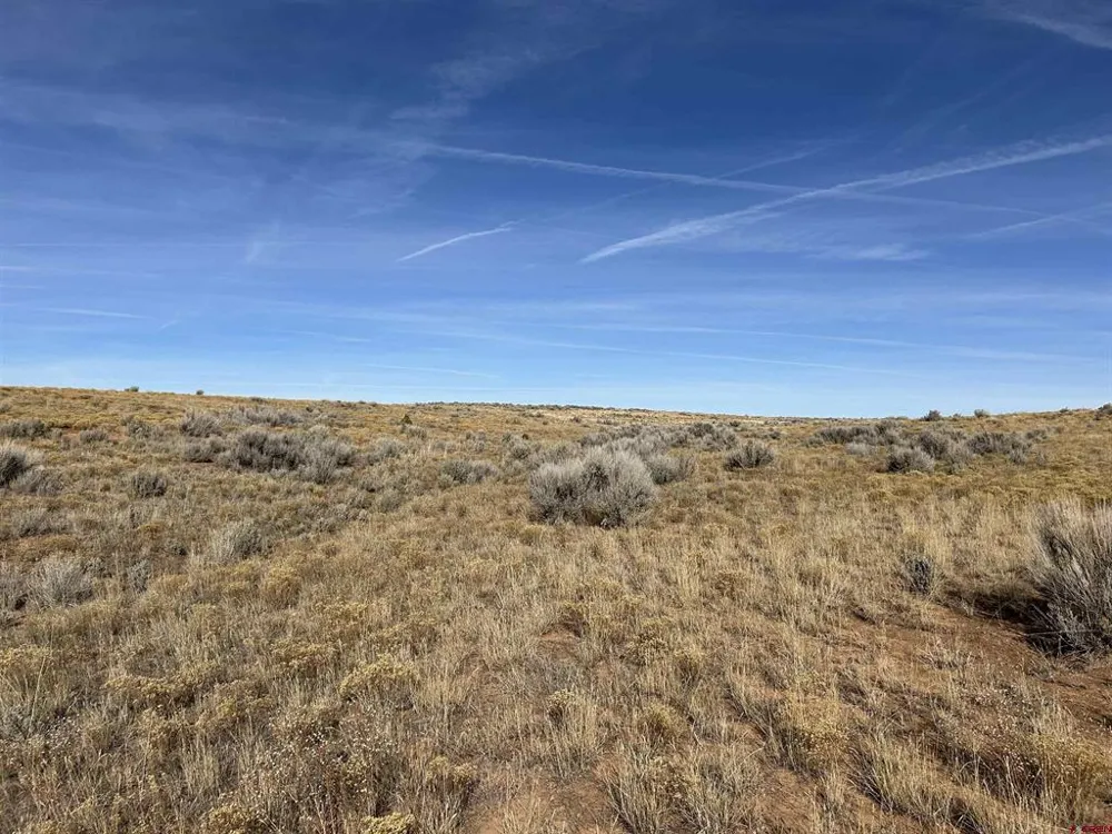 6462 Road L Dove Creek, CO 81324