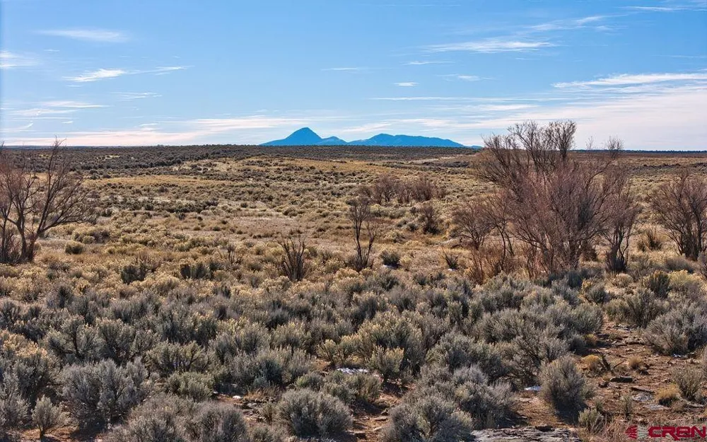 6462 Road L Dove Creek, CO 81324