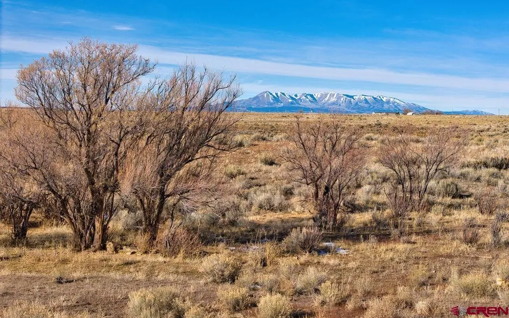 6462 Road L Dove Creek, CO 81324