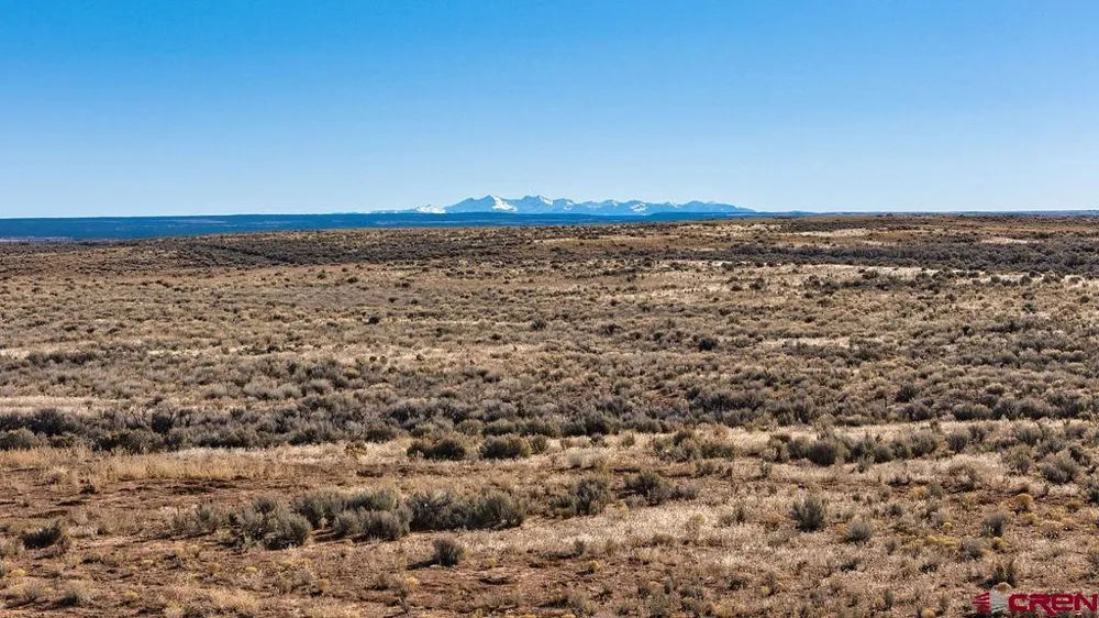 6462 Road L Dove Creek, CO 81324