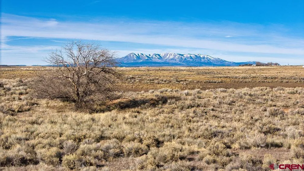 6462 Road L Dove Creek, CO 81324