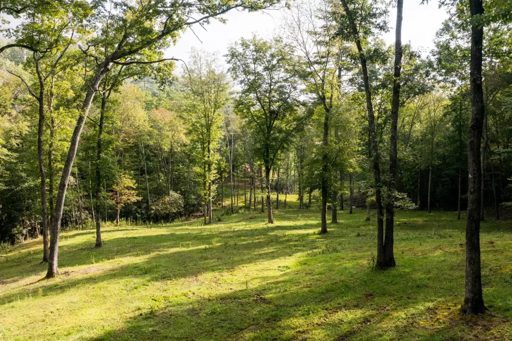 1500 Park Vista Trail Dillard, GA 30537