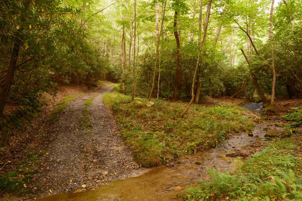 1500 Park Vista Trail Dillard, GA 30537