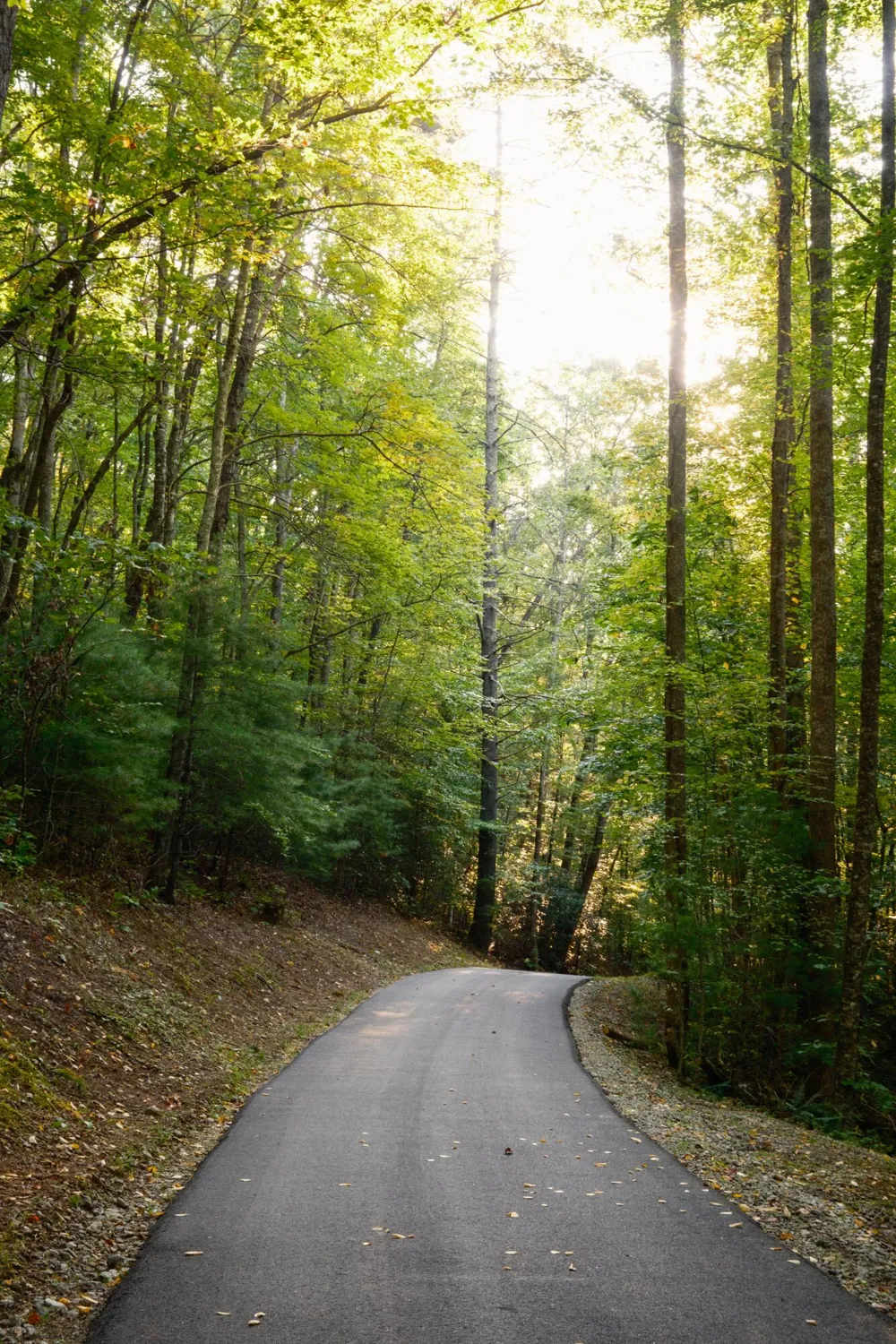 1500 Park Vista Trail Dillard, GA 30537