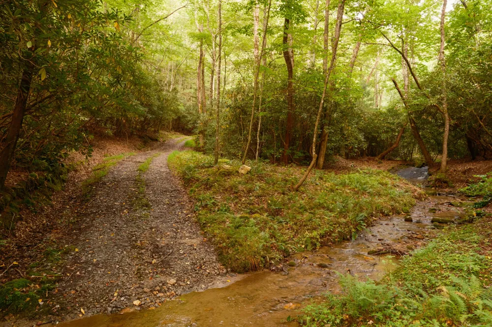 1500 Park Vista Trail Dillard, GA 30537