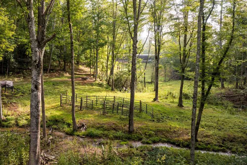 1500 Park Vista Trail Dillard, GA 30537