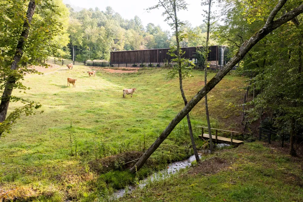 1500 Park Vista Trail Dillard, GA 30537