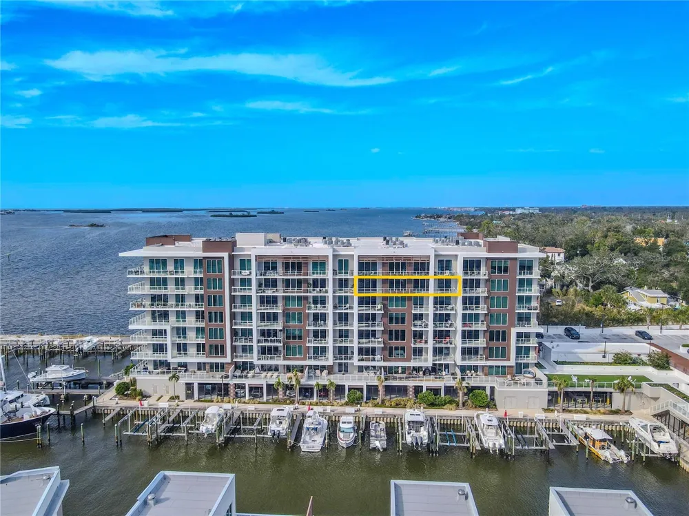 920 OSCEOLA AVENUE #703 Clearwater, FL 33755