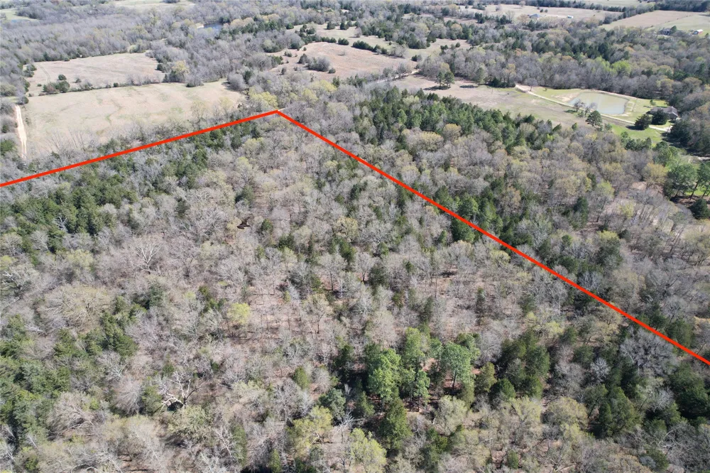 Hop Cty Road 2412 Como, TX 75431