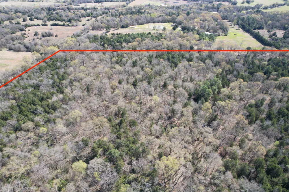 Hop Cty Road 2412 Como, TX 75431