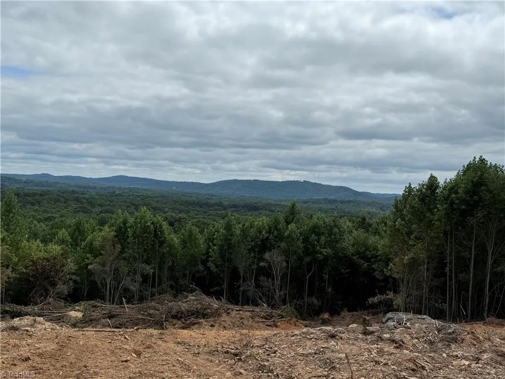 0 Woodfield Drive Sophia, NC 27350