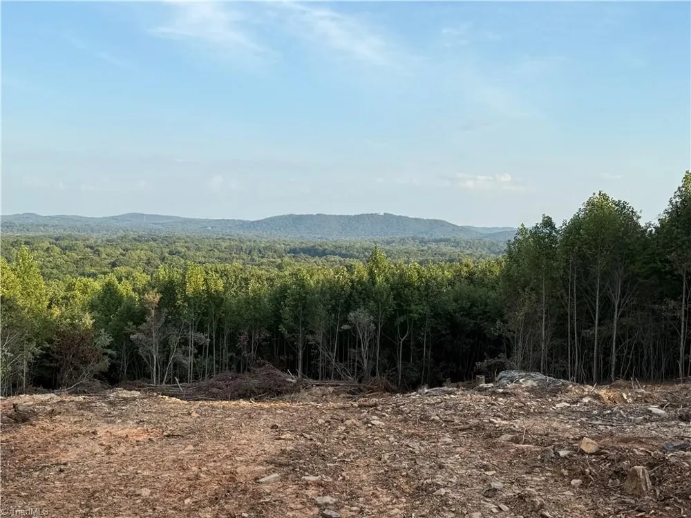 0 Woodfield Drive Sophia, NC 27350