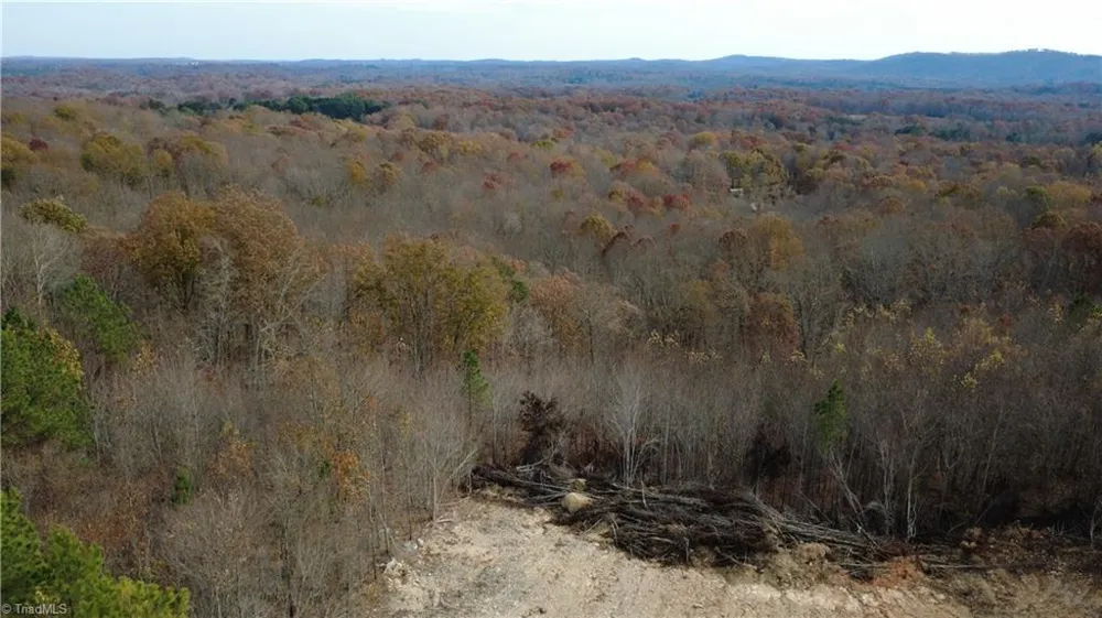 0 Woodfield Drive Sophia, NC 27350