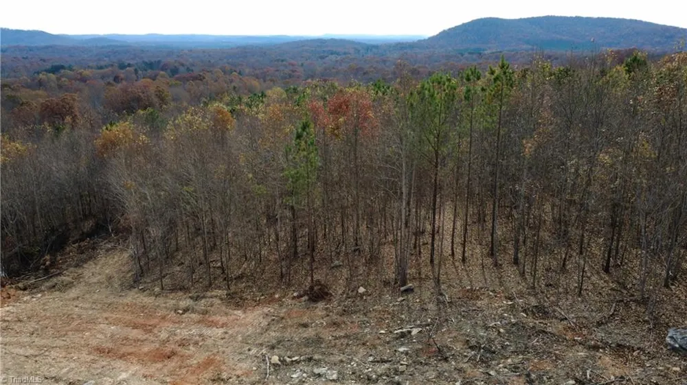 0 Woodfield Drive Sophia, NC 27350