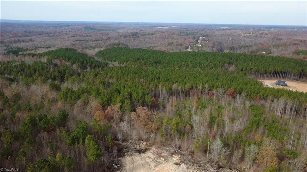 0 Woodfield Drive Sophia, NC 27350
