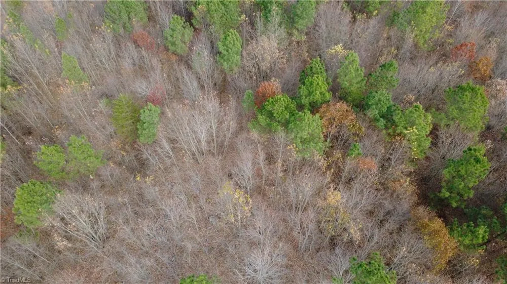 0 Woodfield Drive Sophia, NC 27350