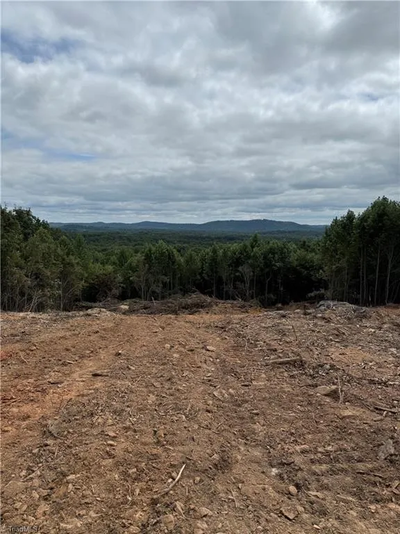 0 Woodfield Drive Sophia, NC 27350