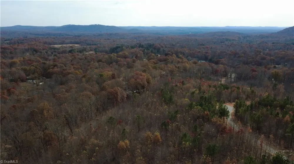 0 Woodfield Drive Sophia, NC 27350