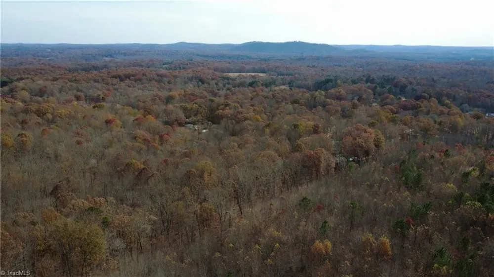 0 Woodfield Drive Sophia, NC 27350