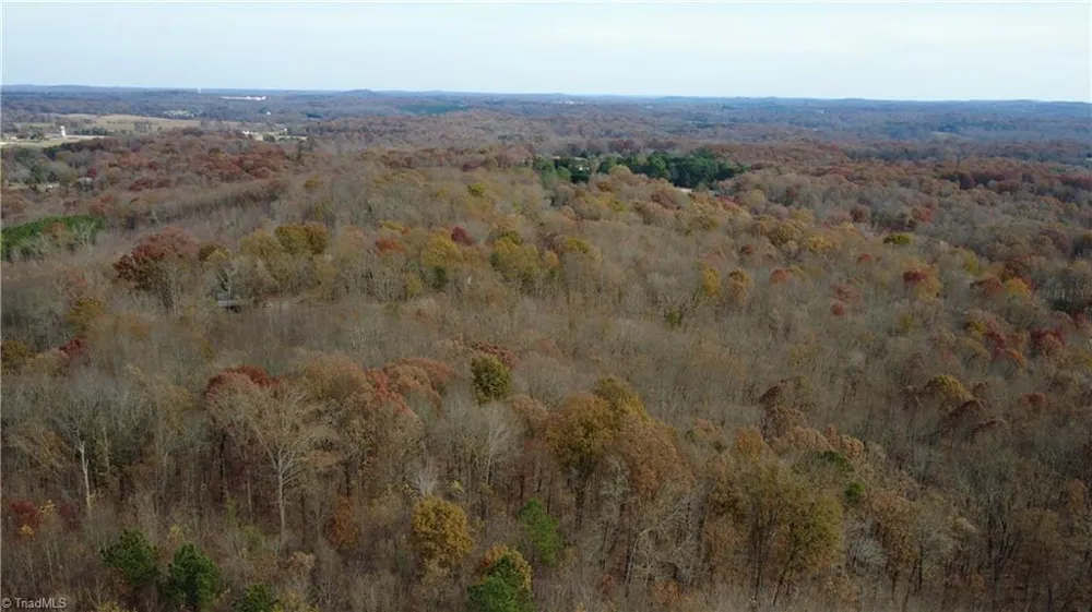 0 Woodfield Drive Sophia, NC 27350