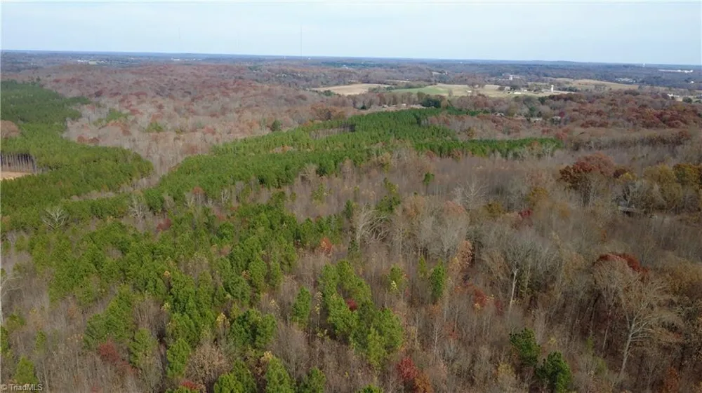 0 Woodfield Drive Sophia, NC 27350