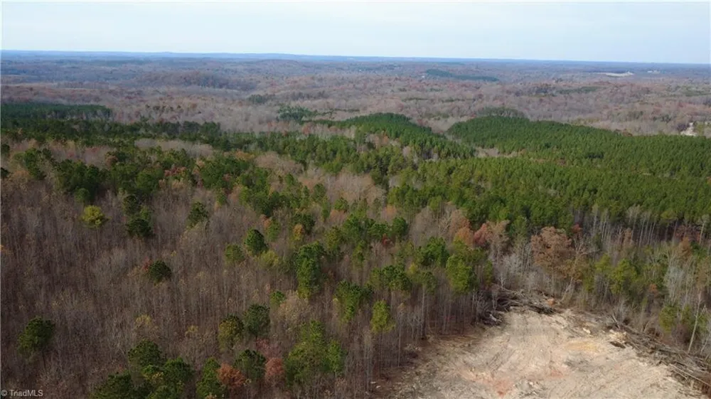 0 Woodfield Drive Sophia, NC 27350