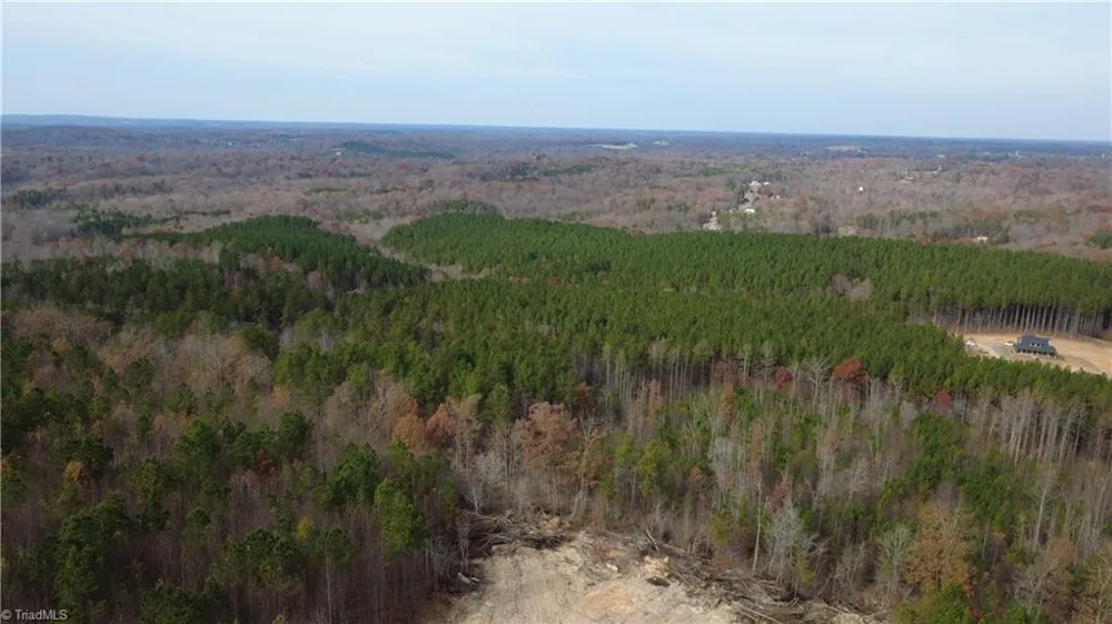 0 Woodfield Drive Sophia, NC 27350