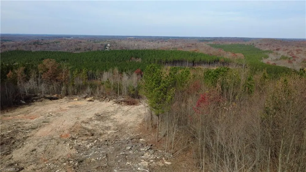 0 Woodfield Drive Sophia, NC 27350