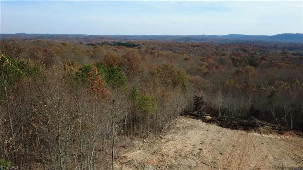 0 Woodfield Drive Sophia, NC 27350