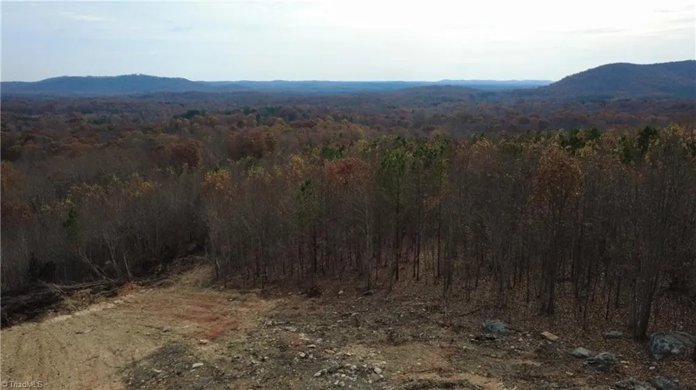 0 Woodfield Drive Sophia, NC 27350