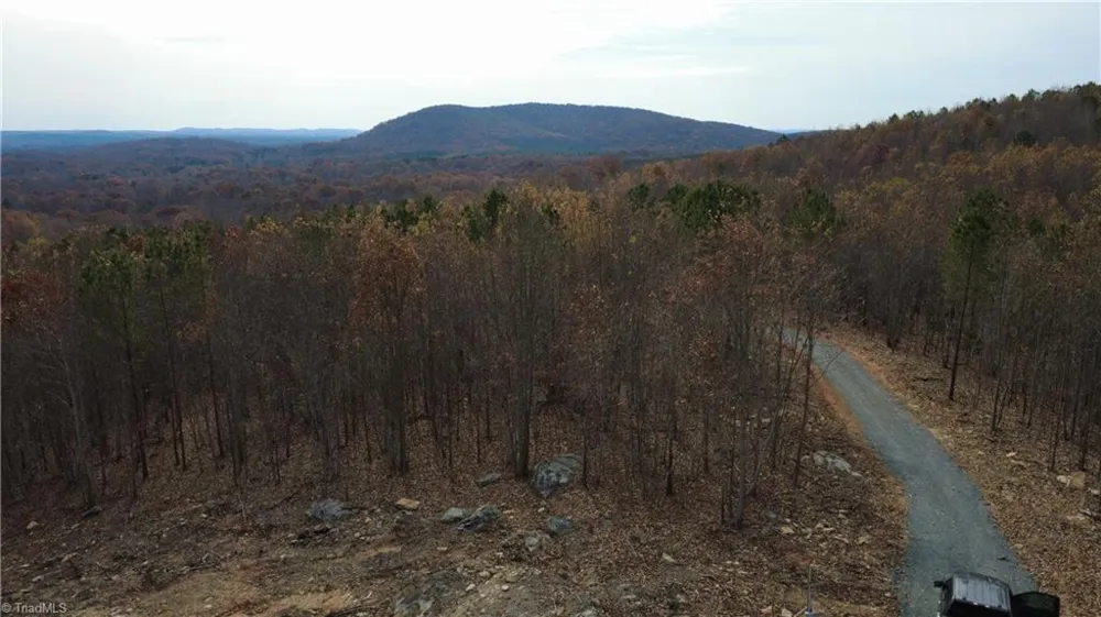 0 Woodfield Drive Sophia, NC 27350