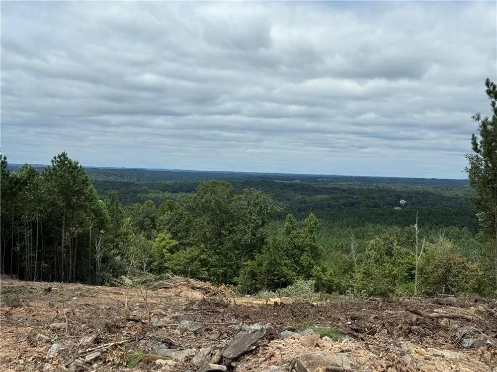0 Woodfield Drive Sophia, NC 27350