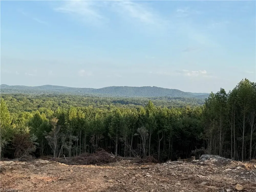 0 Woodfield Drive Sophia, NC 27350