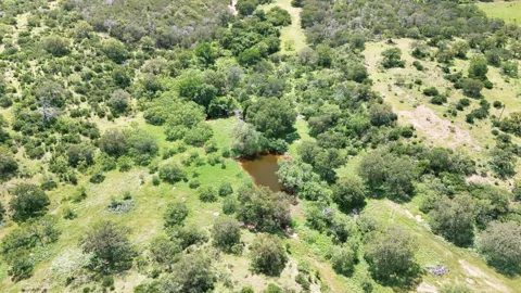 CR 110 ROAD
