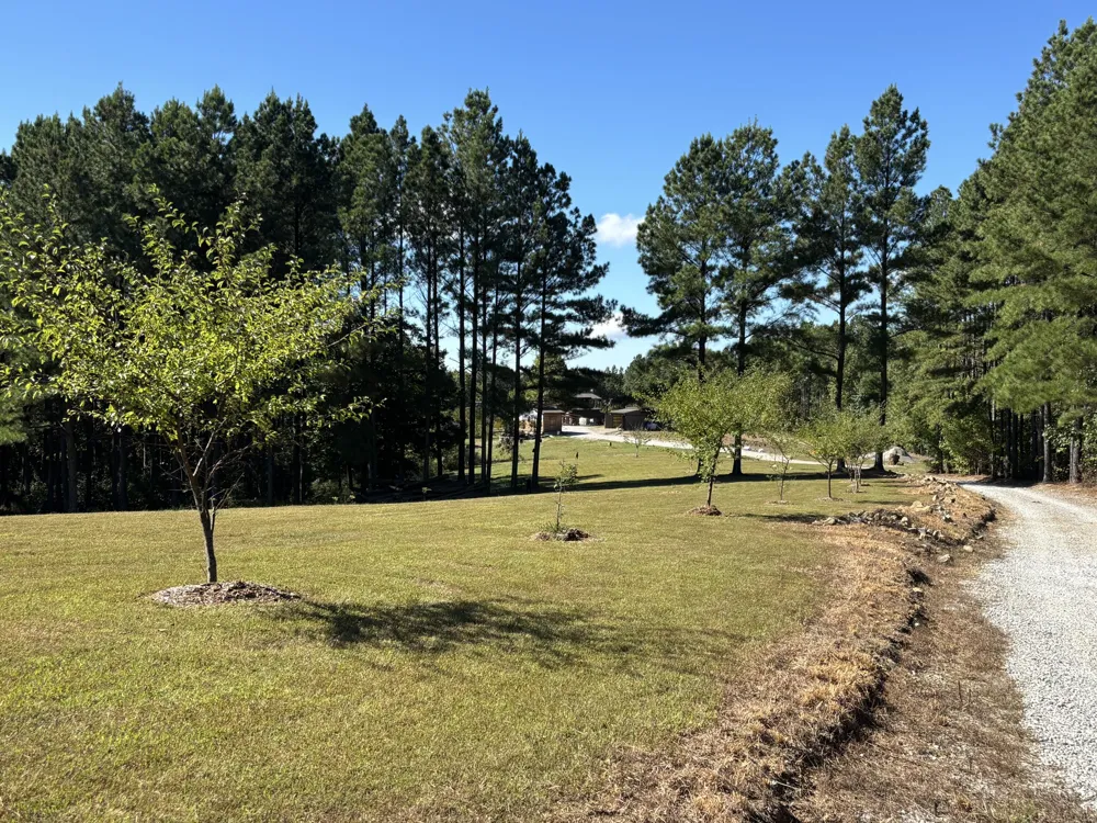 3128 Browns Trace Road South Pittsburg, TN 37380