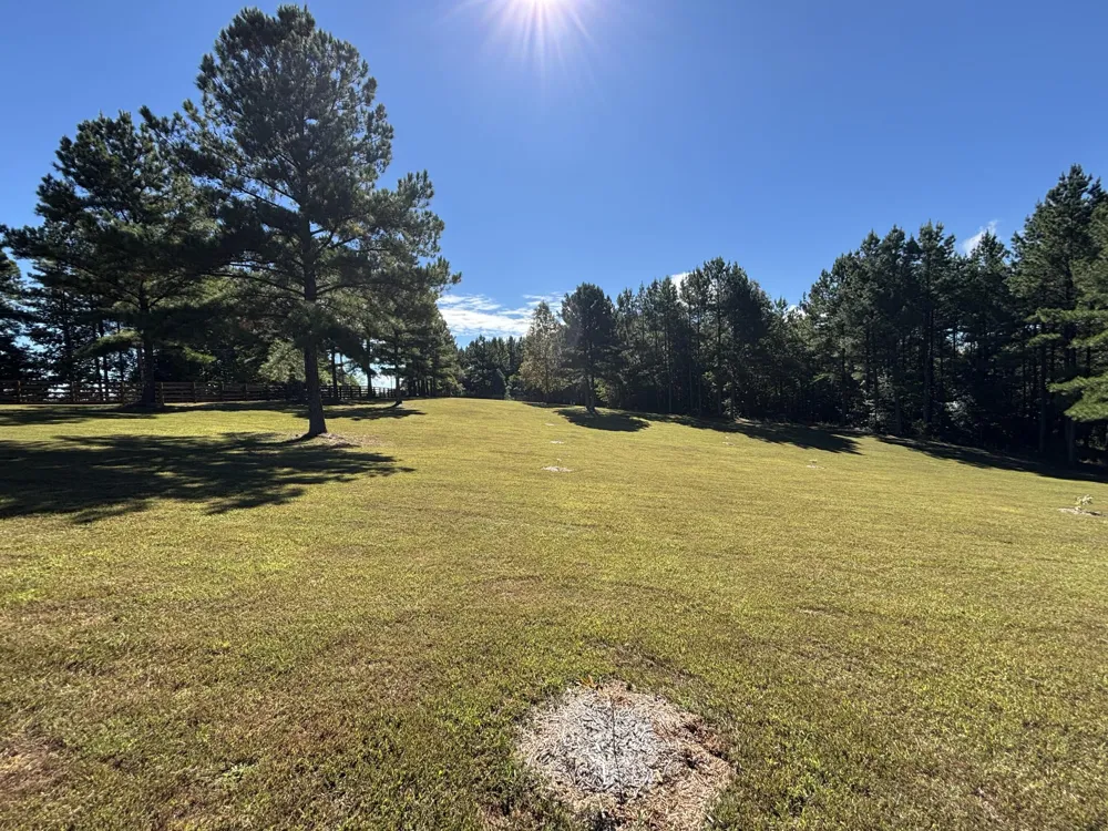 3128 Browns Trace Road South Pittsburg, TN 37380