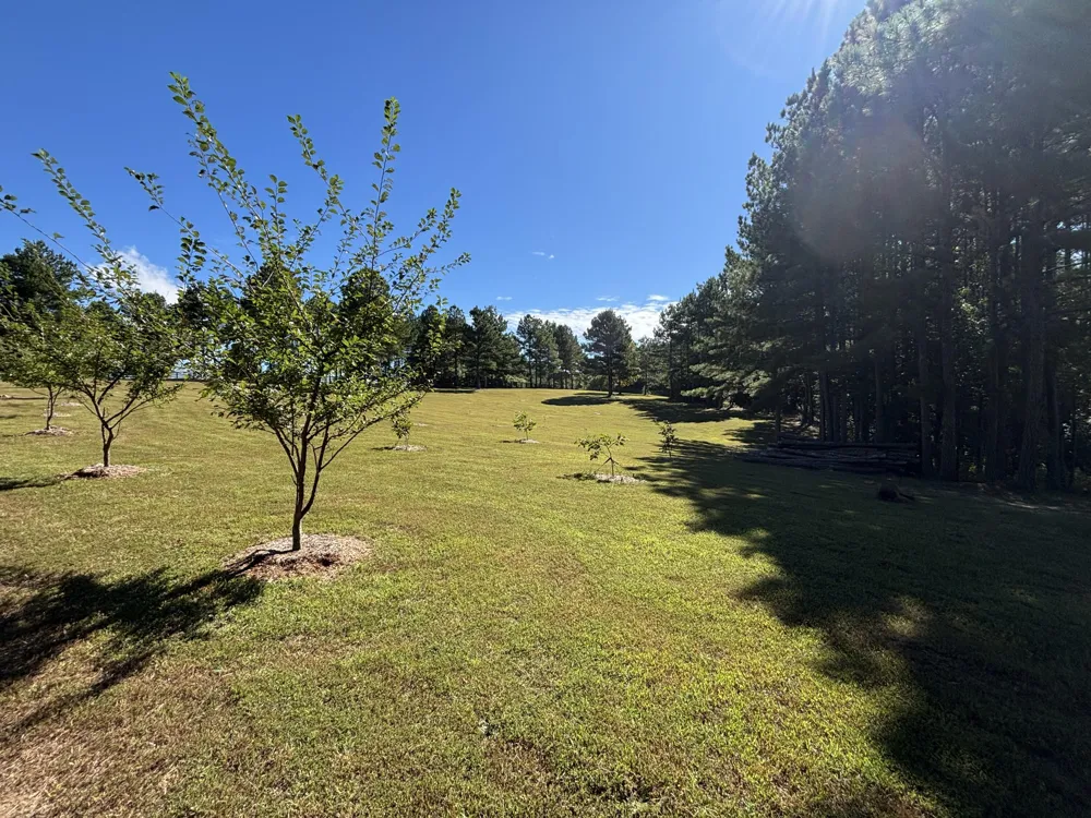 3128 Browns Trace Road South Pittsburg, TN 37380