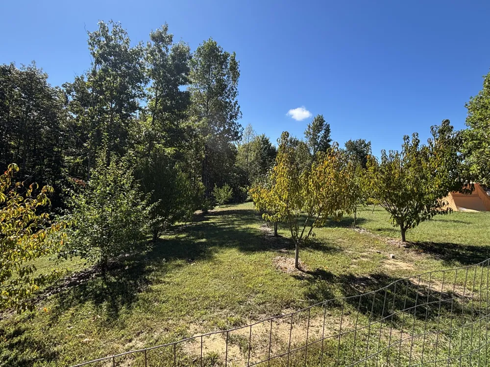 3128 Browns Trace Road South Pittsburg, TN 37380