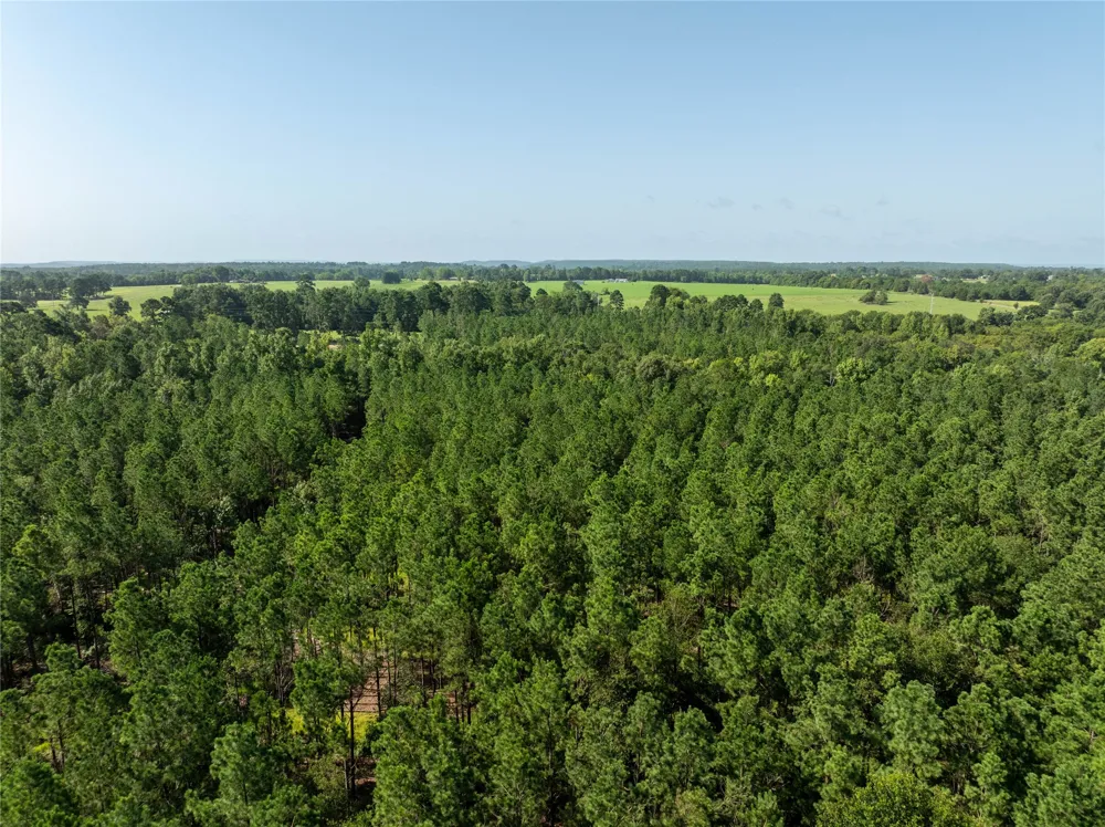 County Road 1713 Jacksonville, TX 75766