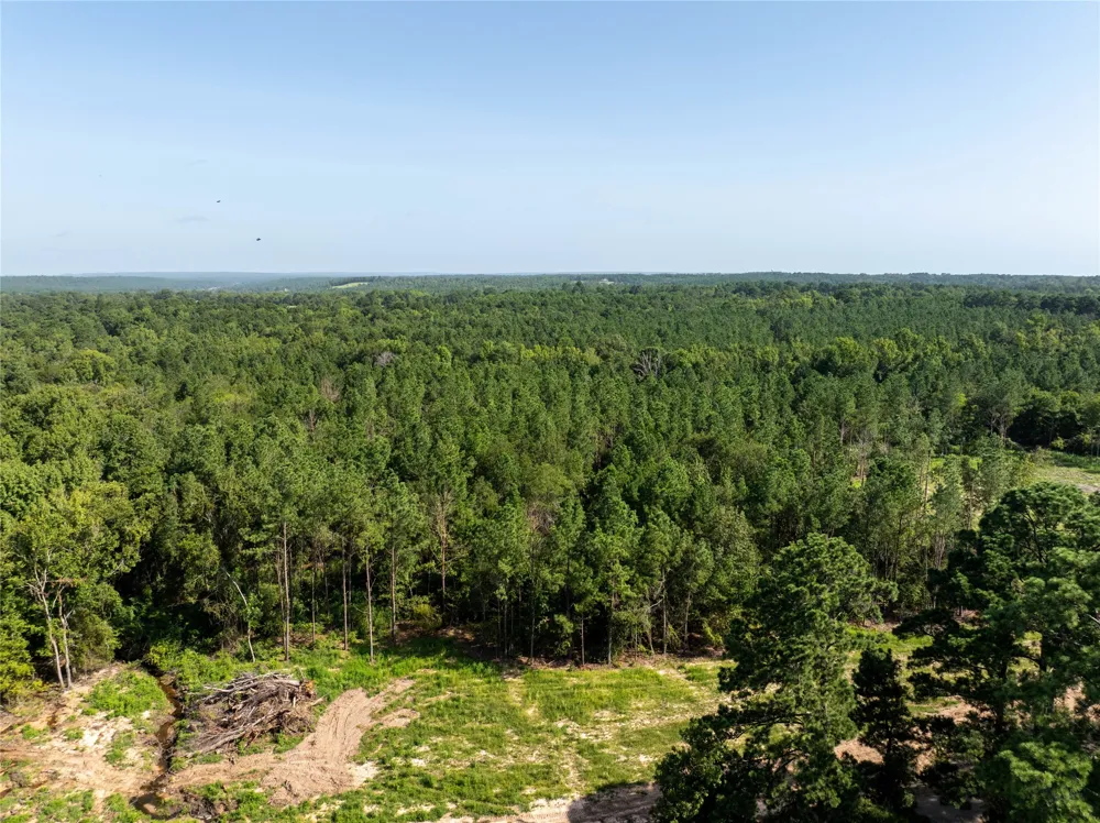 County Road 1713 Jacksonville, TX 75766