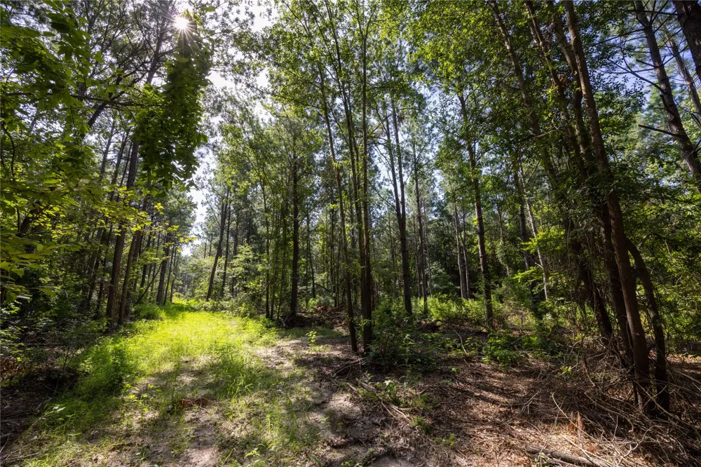 County Road 1713 Jacksonville, TX 75766