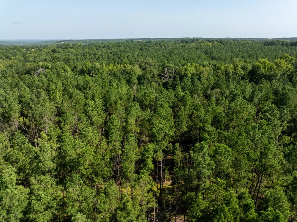 County Road 1713 Jacksonville, TX 75766